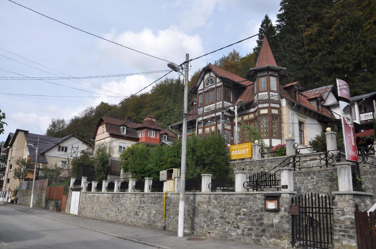 Vila Bradet Busteni Bagian luar foto