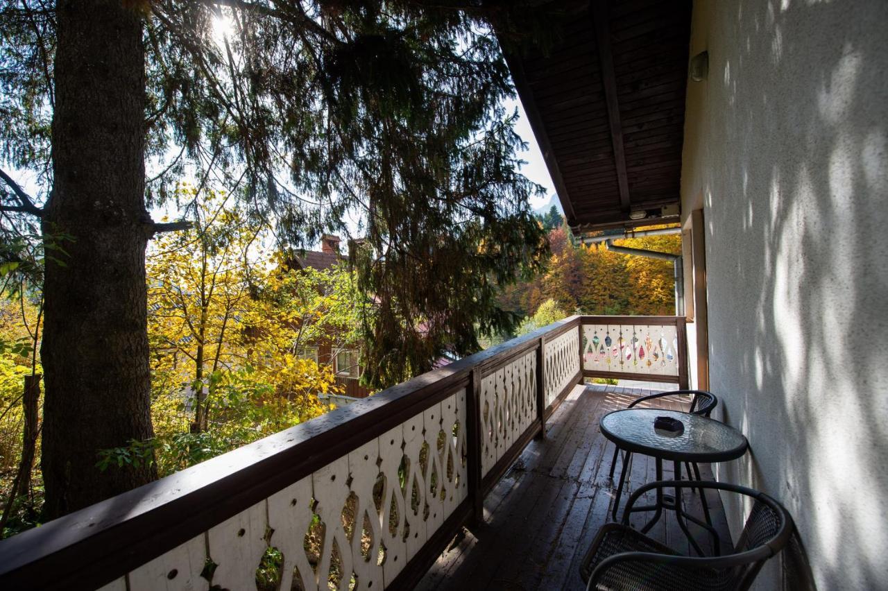 Vila Bradet Busteni Bagian luar foto